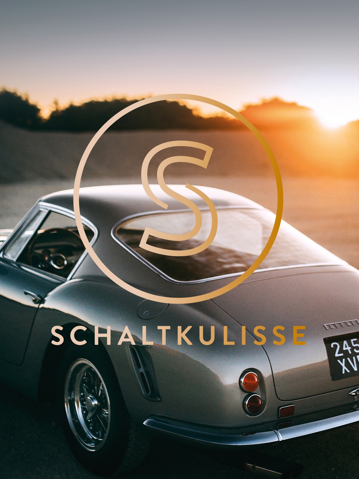 Schaltkulisse